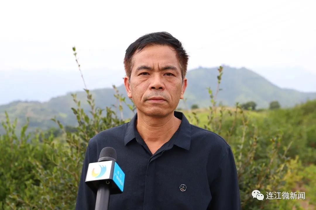 3500亩油茶香飘儒洋村！