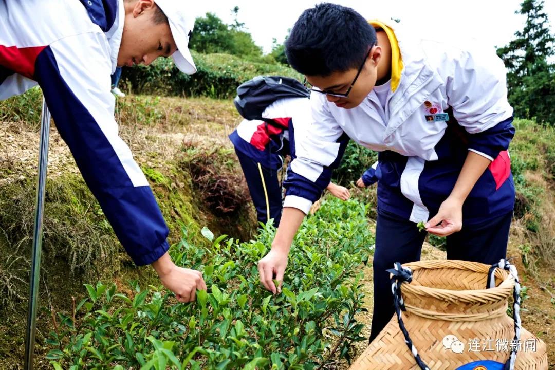 今天，这群少年打卡茶山！