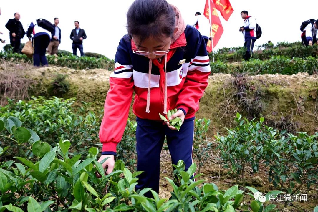 今天，这群少年打卡茶山！
