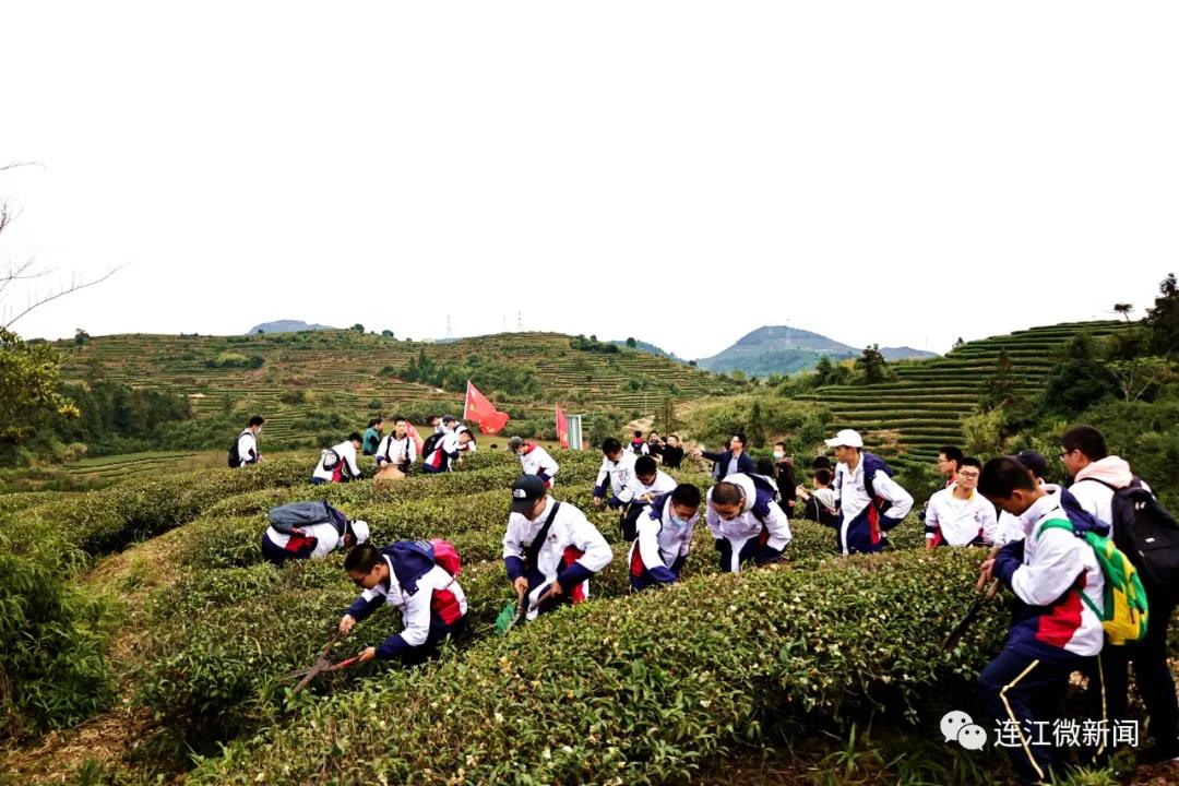 今天，这群少年打卡茶山！