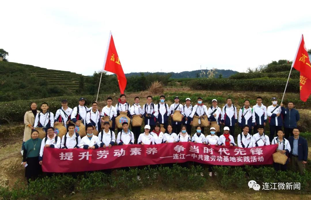 今天，这群少年打卡茶山！