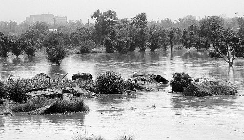 6月19日，在印度首都新德里的亚穆纳河沿岸，民房被洪水淹没。新华社发