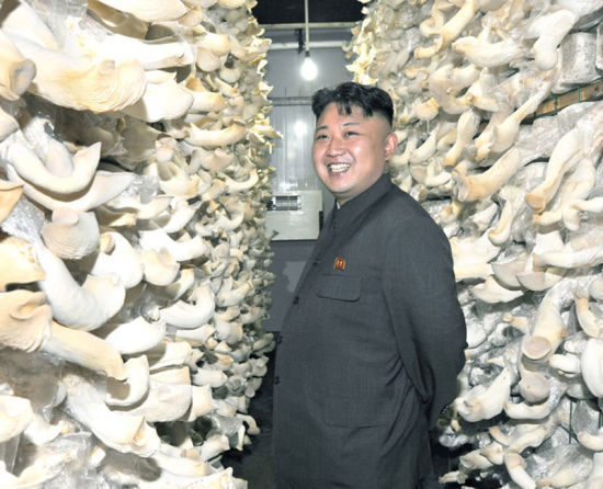 朝鲜最高领导人金正恩视察部队蘑菇厂，要求建设“蘑菇之国”。图片来源：朝鲜《劳动新闻》