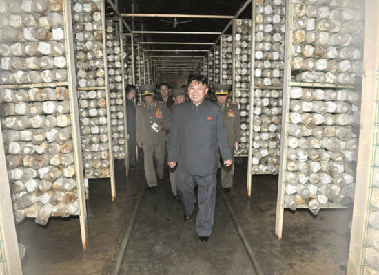 朝鲜最高领导人金正恩视察部队蘑菇厂。图片来源：朝鲜《劳动新闻》