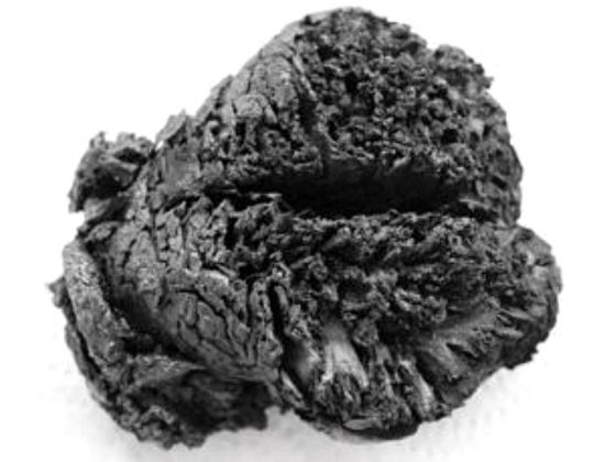这颗形似木炭的人脑已有4000年历史。