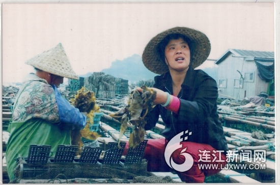 黄秀兰：时刻为人民服务的渔家女