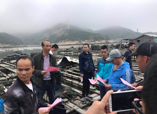 黄岐镇：严阵以待，防范赤潮