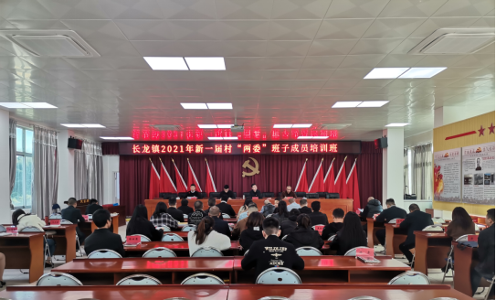 长龙镇举办新一届村“两委”班子成员培训班
