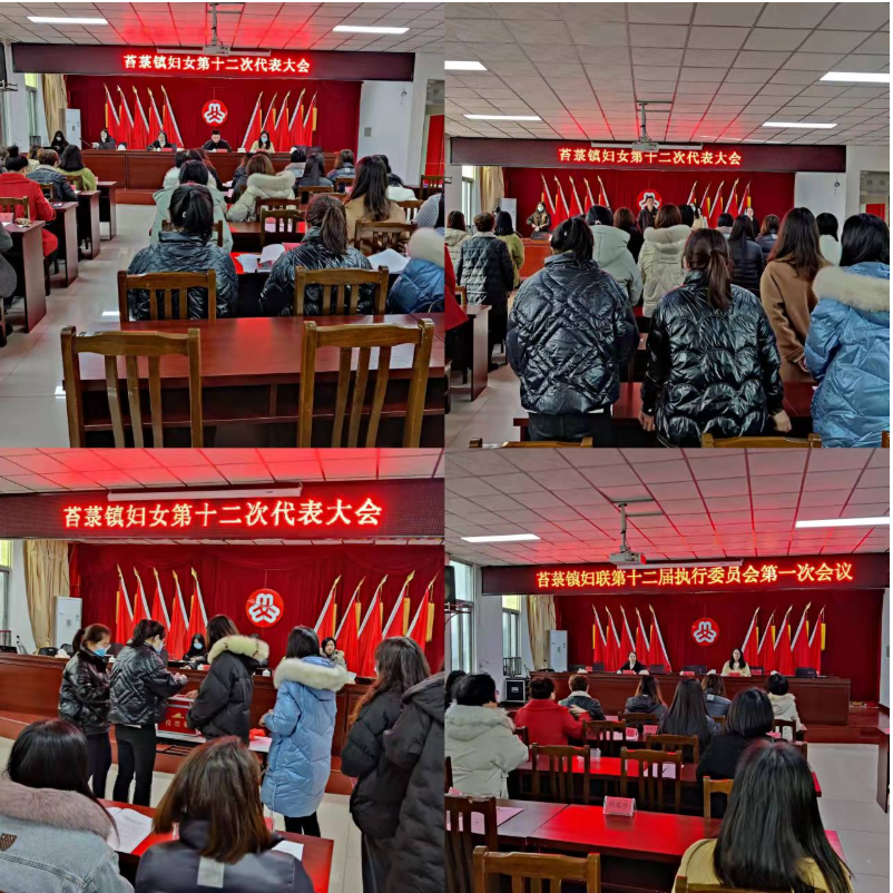 苔菉镇召开妇女第十二次代表大会