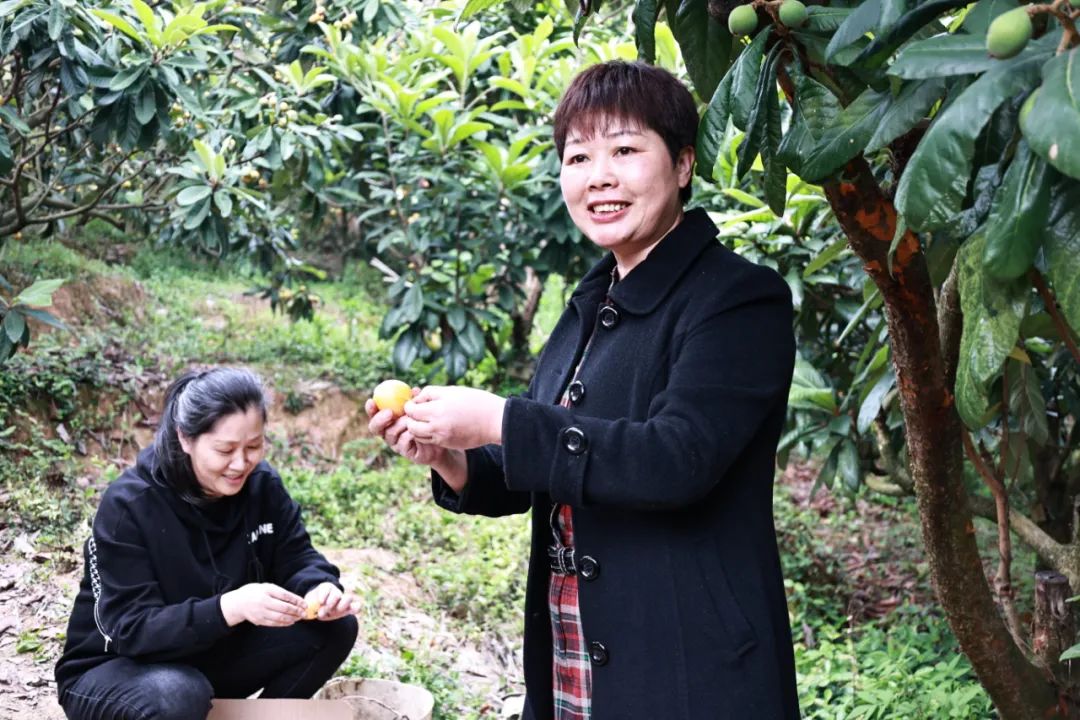 馋！正大量上市！连江这里“甜蜜暴击”