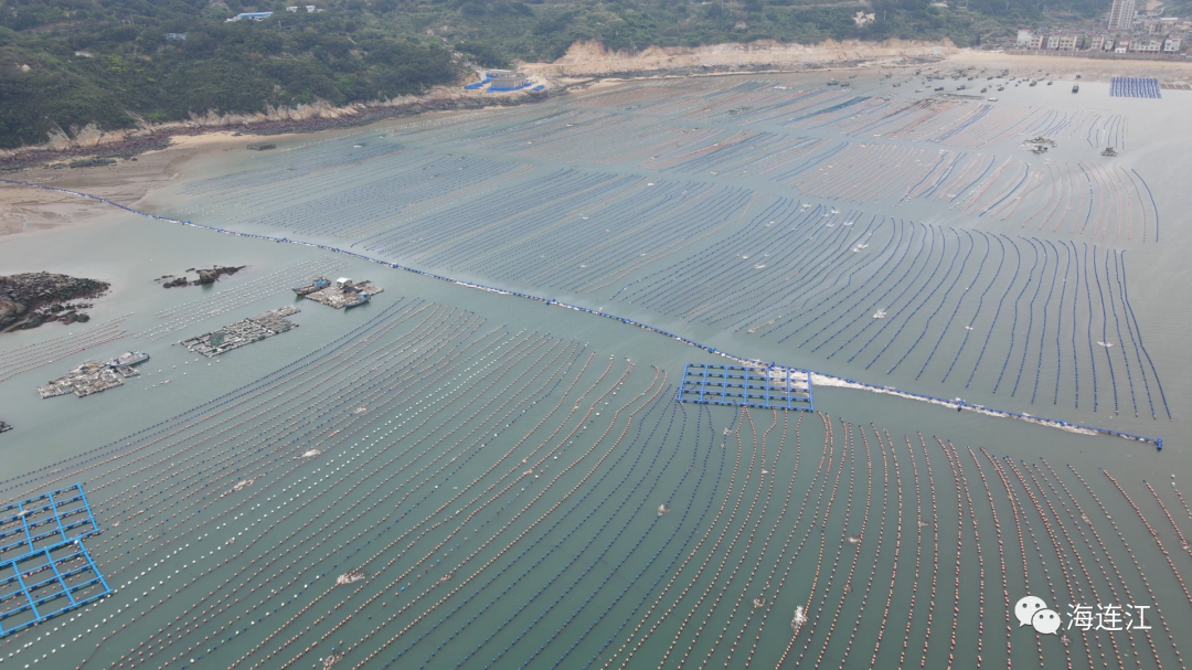 向蔚蓝！连江“治海”有新招！