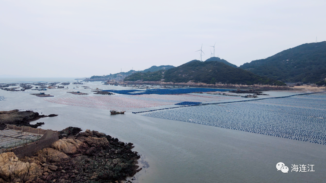 向蔚蓝！连江“治海”有新招！