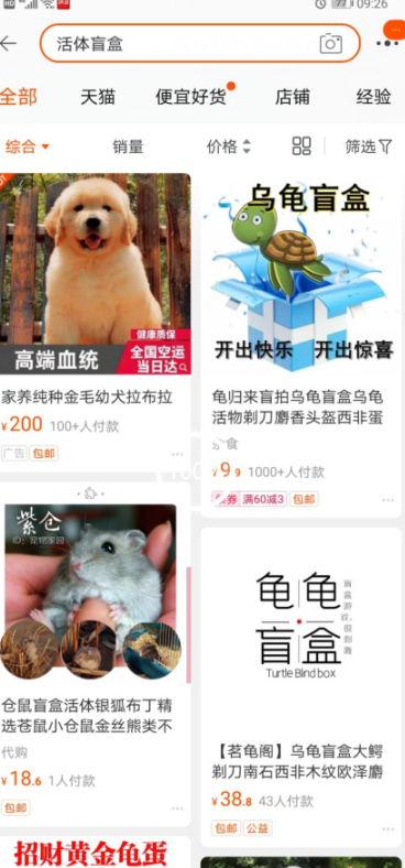 ​数百只猫狗被当“盲盒”售卖 究竟是违法还是违德？
