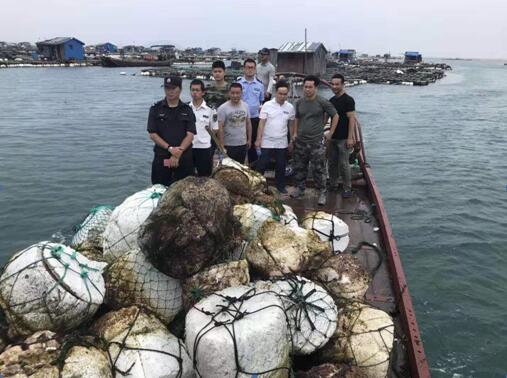 连江开展清理定置网具专项整治行动