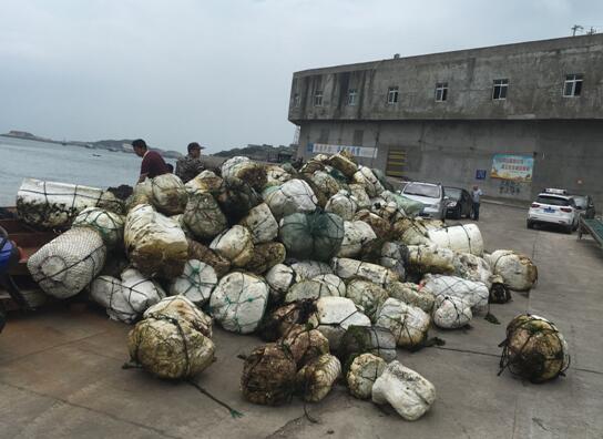 连江开展清理定置网具专项整治行动