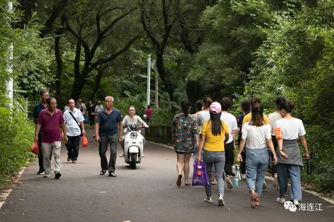 重阳登高！今天，你在哪座山？