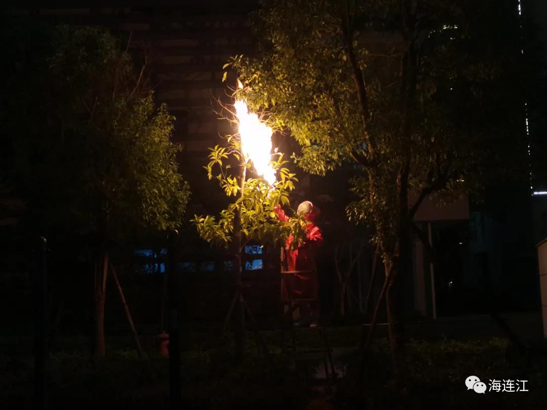 点赞！连江多处“窝点”被成功捣毁！
