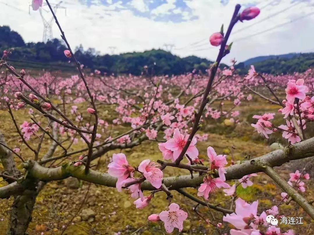 快看！连江“网红”即将在这里诞生