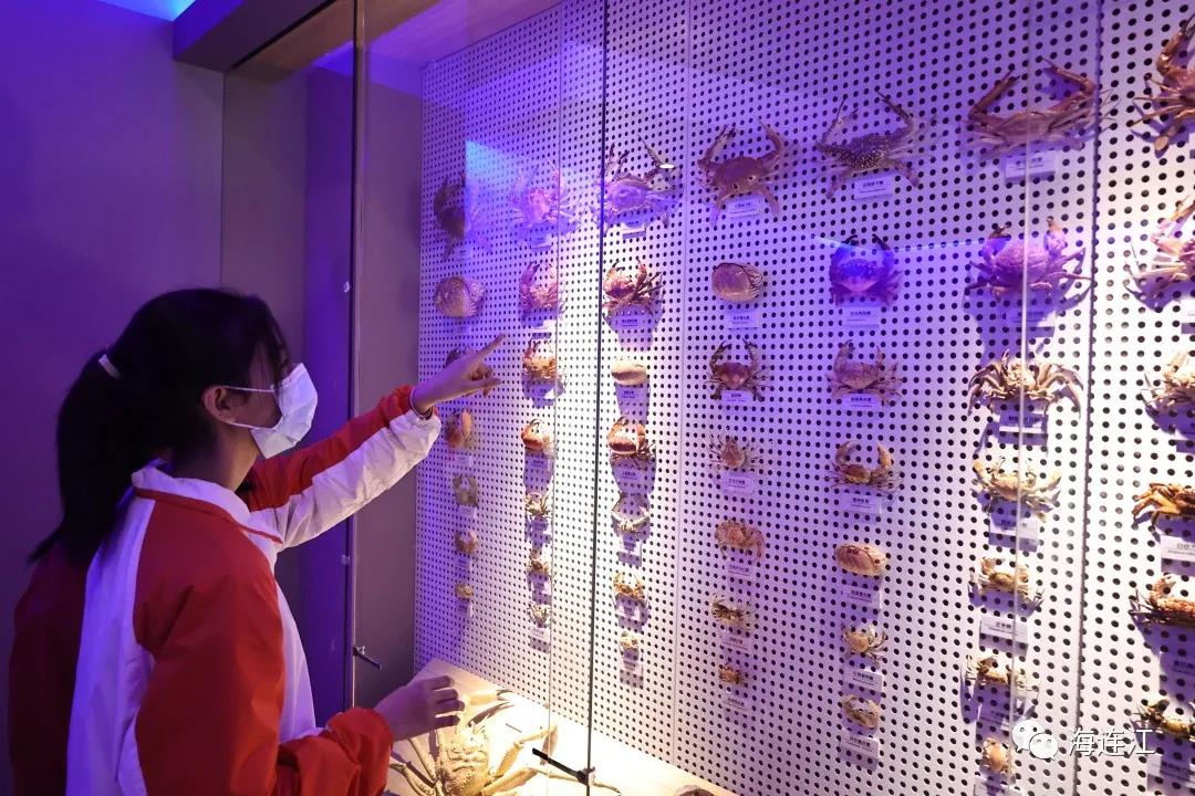 福州首个！在连江即将开启