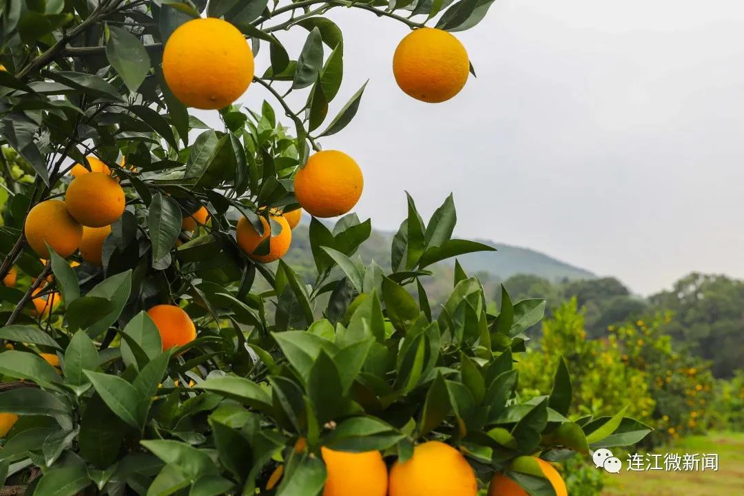 赞！连江这个“宝藏村”终于要“出圈”了