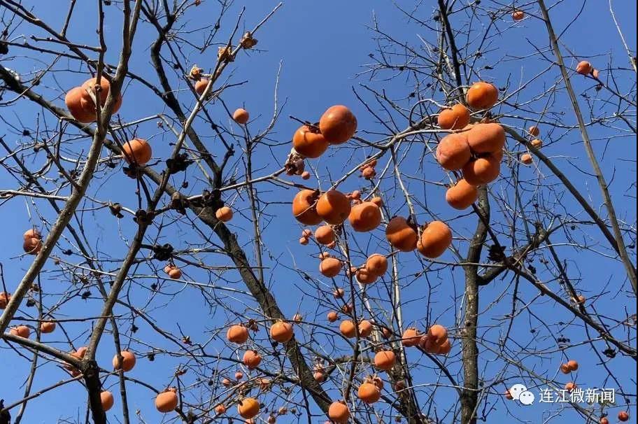 赞！连江这个“宝藏村”终于要“出圈”了