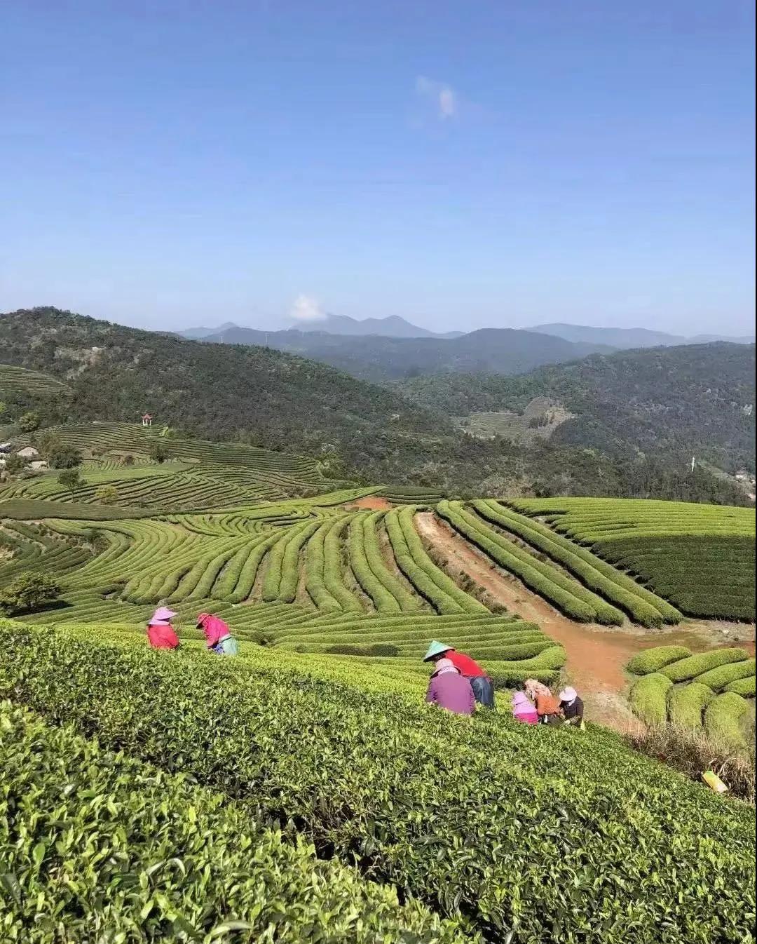 “最后一公里”！连江这样干