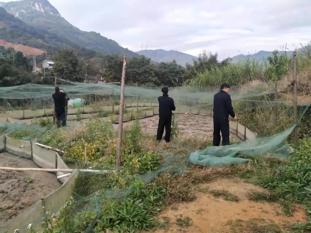 连江重拳治污！蓼沿7家被拆除