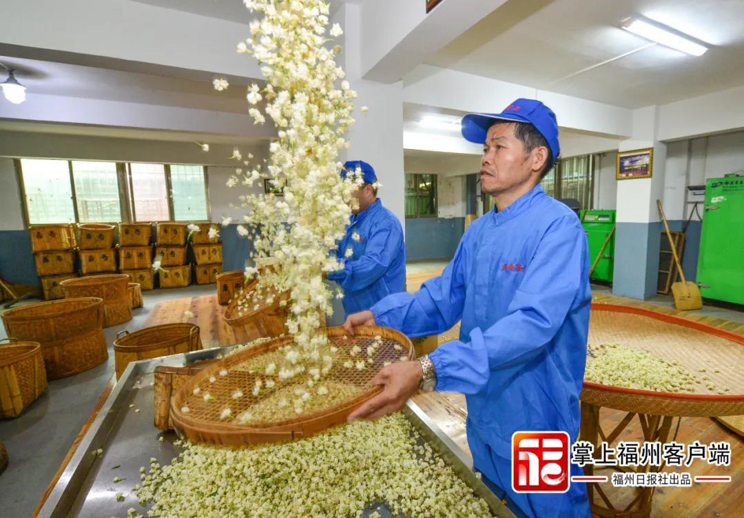 重磅规划！涉及连江！
