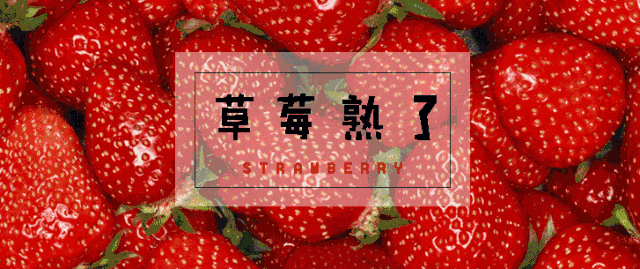 “莓”好时光！在东湖！