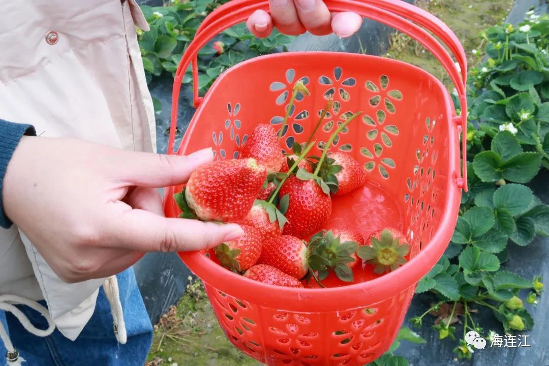 “莓”好时光！在东湖！