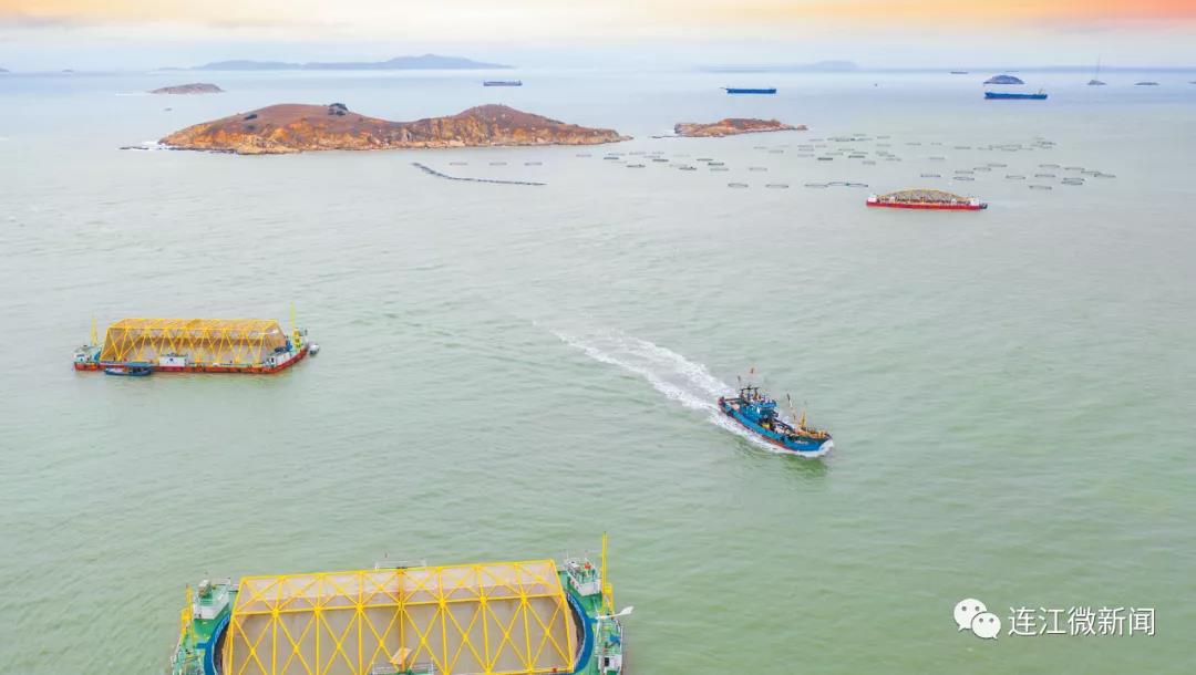 又一“本土造”！入驻定海湾