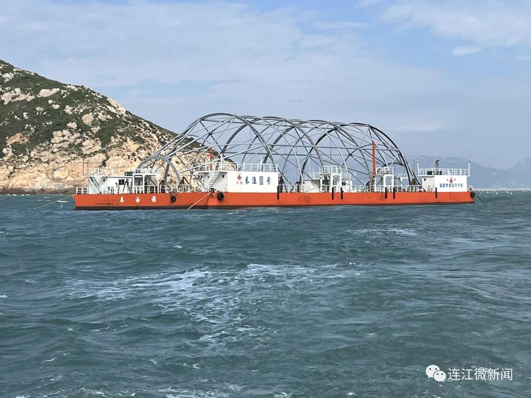又一“本土造”！入驻定海湾