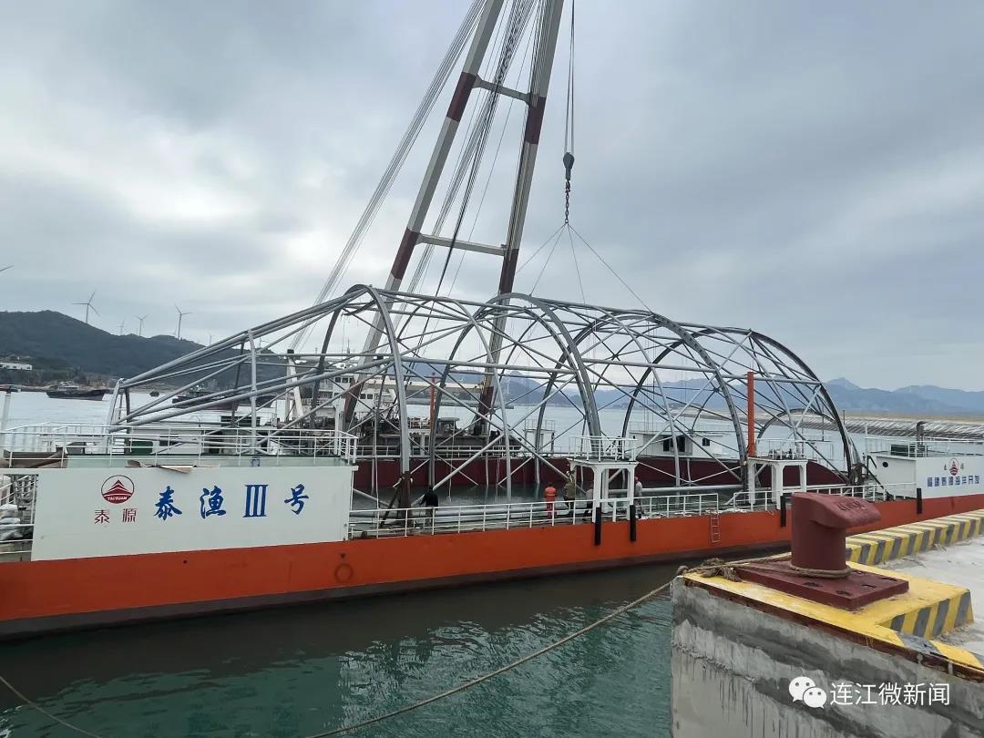 又一“本土造”！入驻定海湾
