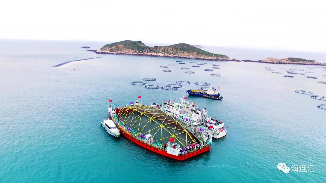 又一“本土造”！入驻定海湾