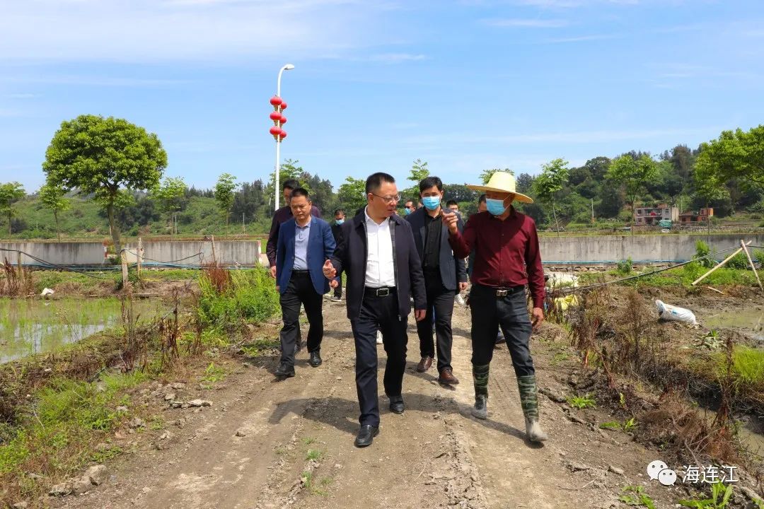县长高双成到田间地头调研