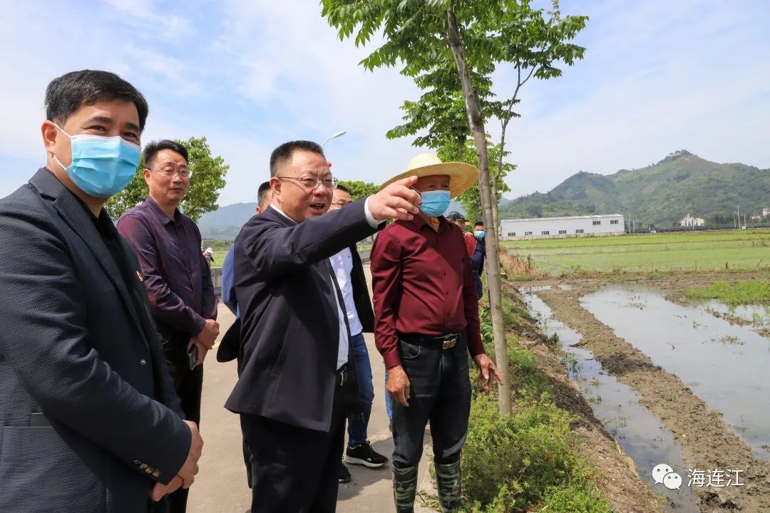 县长高双成到田间地头调研