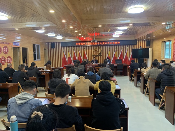 东岱镇深入学习贯彻党的十九届六中全会精神