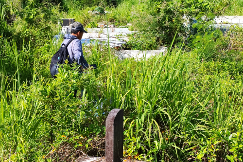 74年，连江籍去台老兵魂归故里