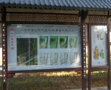 敖江镇石头村宣传文化长廊2