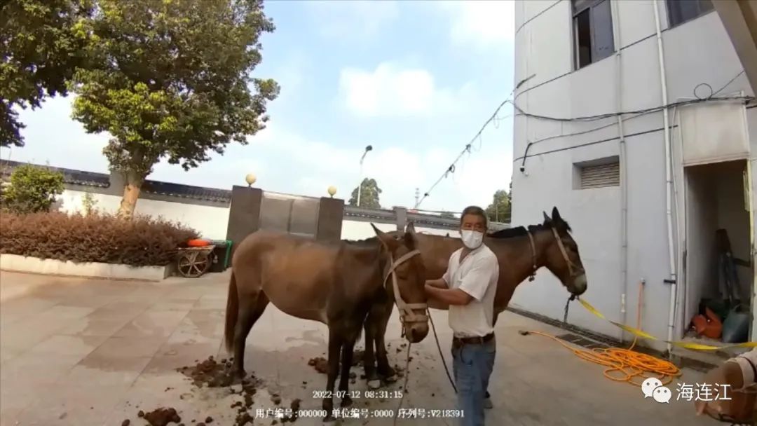 连江“宝马”街头闹事！民警抓抓抓！