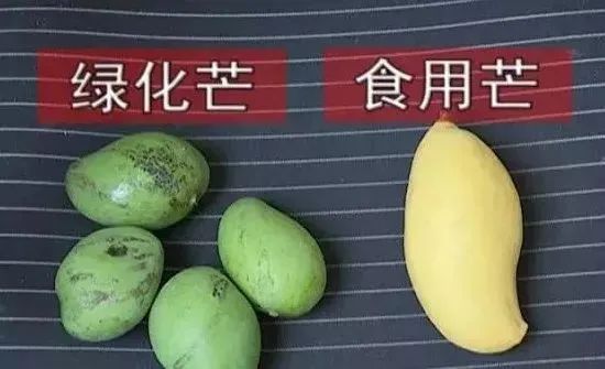 连江人答应我！别吃！好吗？