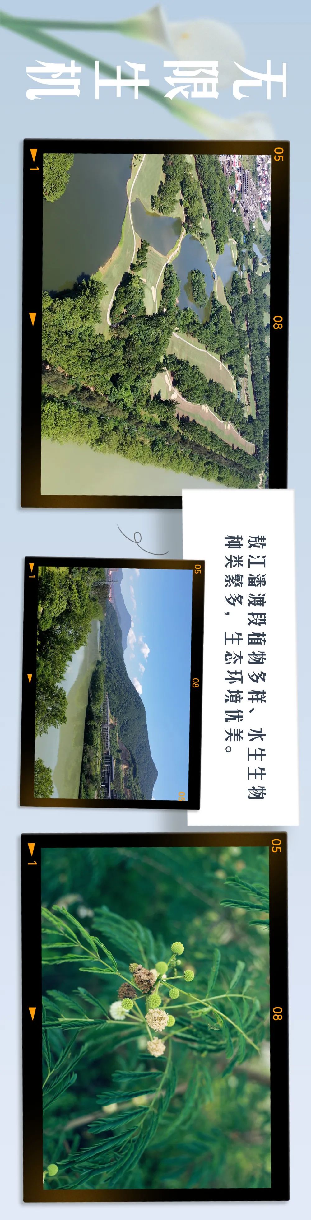 连江的河湖，美了！