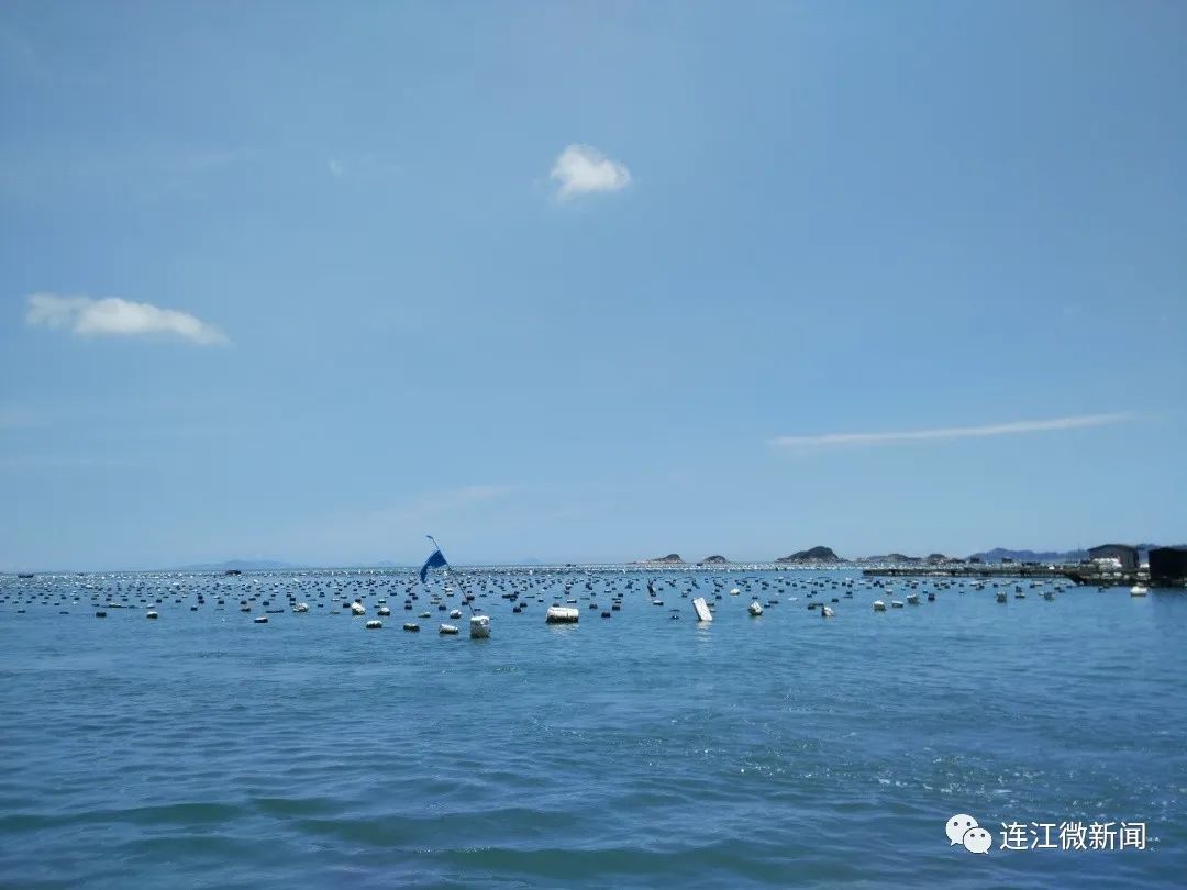 全省最美！连江，“海带女神”！