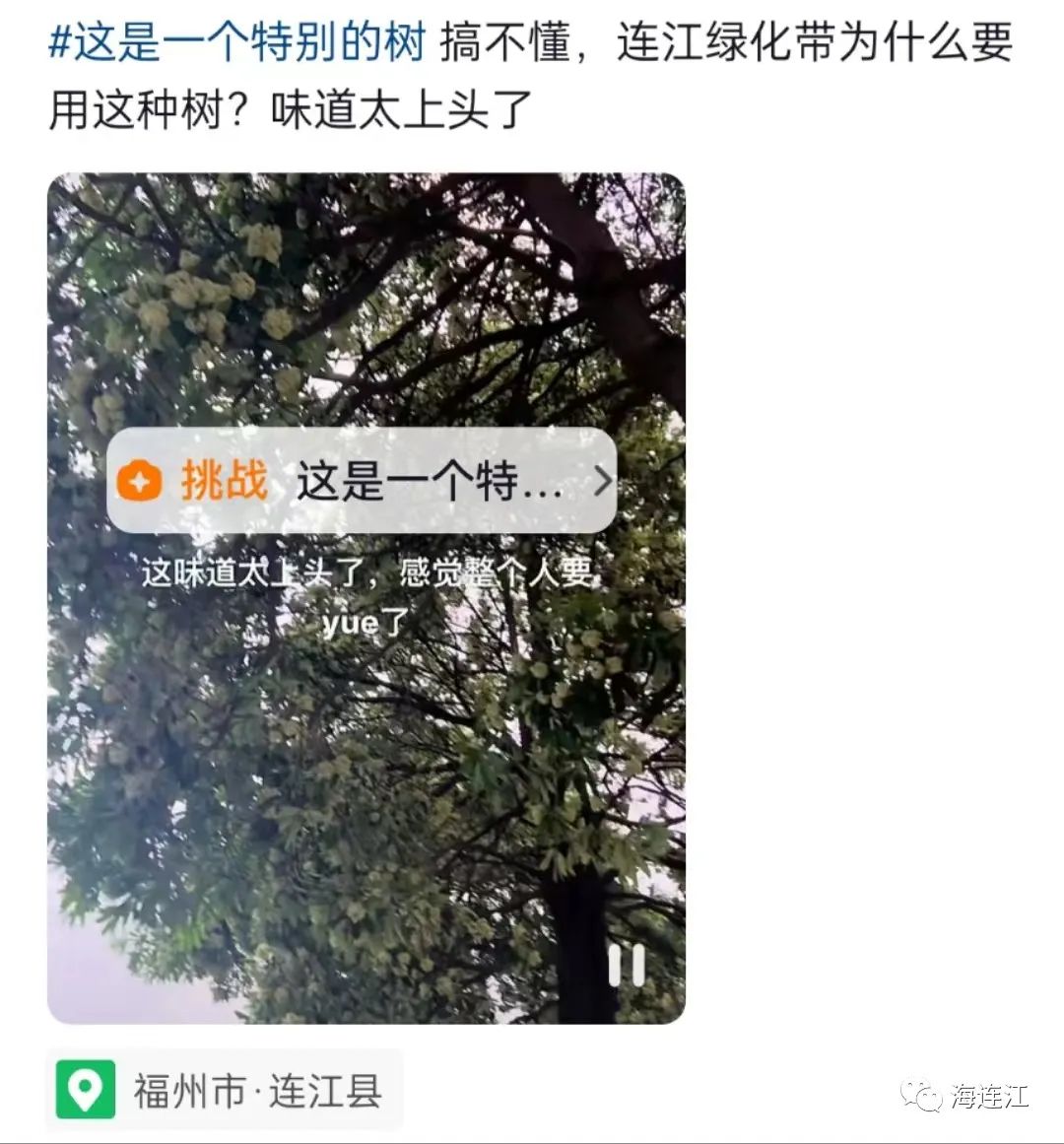 夜来“香”！连江人纷纷掩鼻……