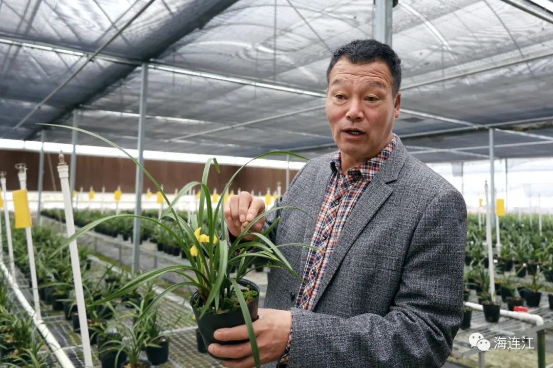 销售渐火！连江人每年都要买！