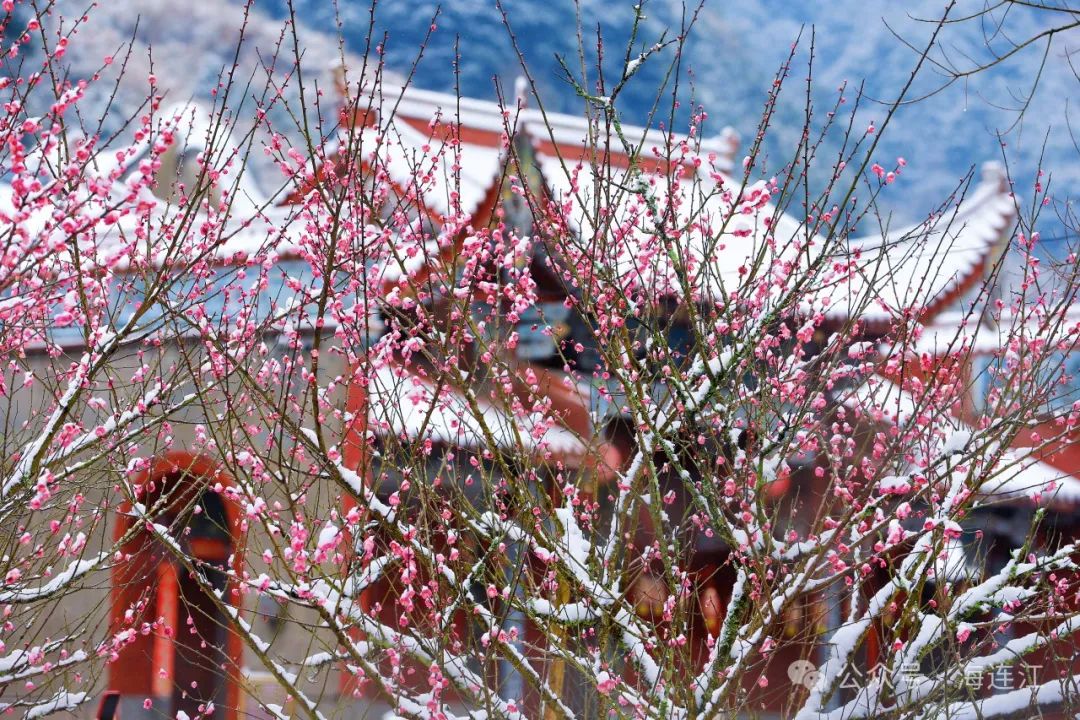 美翻了！连江又一波雪景大片“上新”！