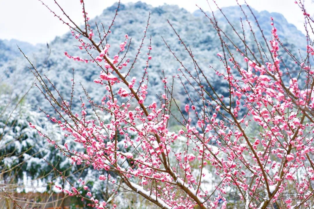 美翻了！连江又一波雪景大片“上新”！