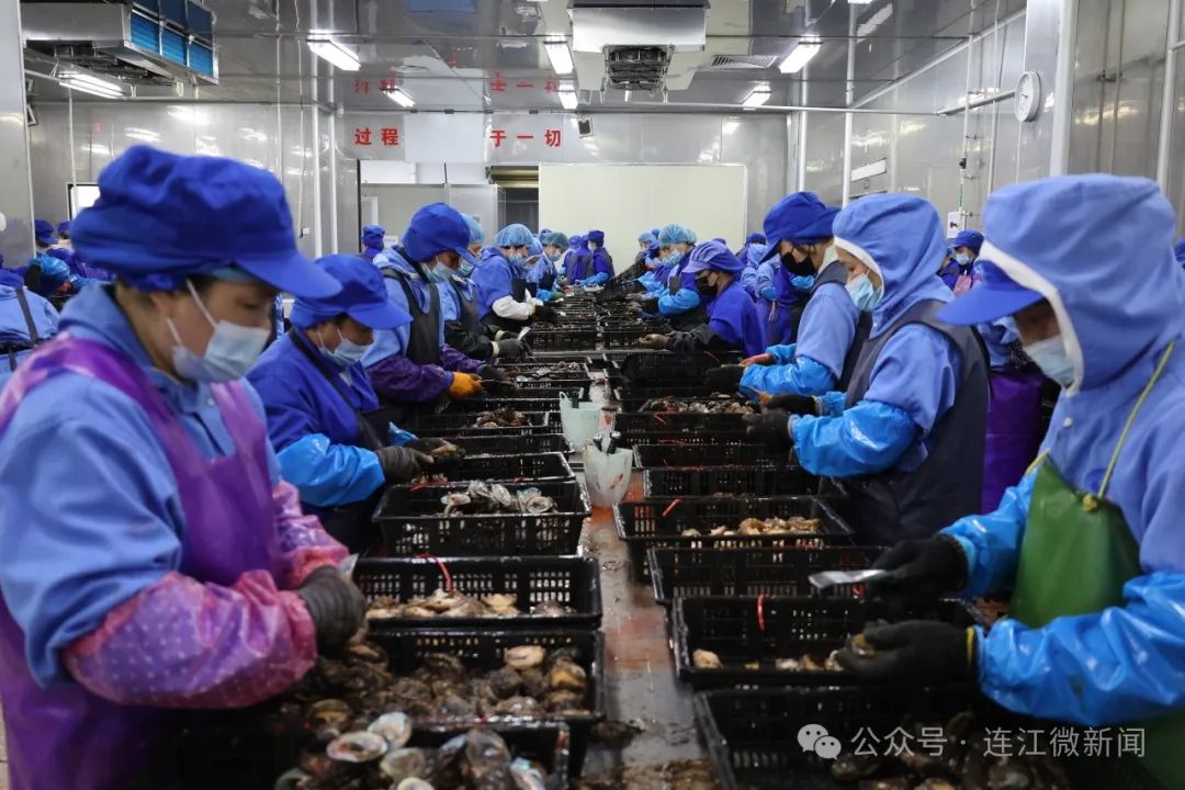 连江“鲍”款，热卖全国！