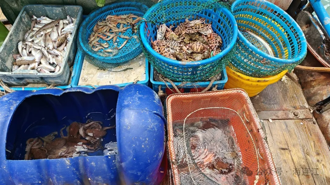 抓获6人，查扣2艘！连江严厉打击！