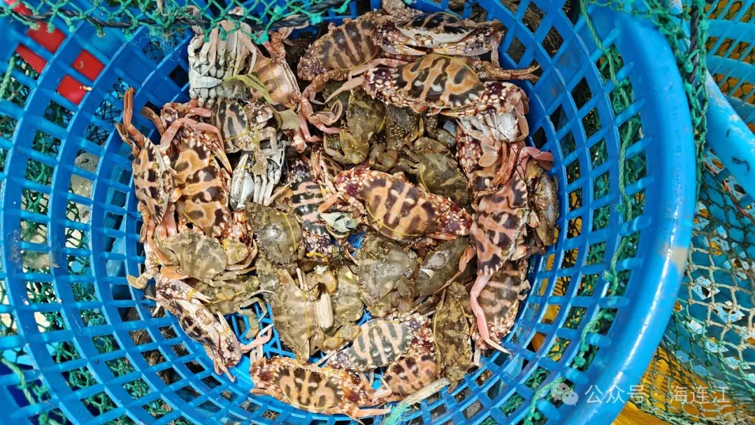 抓获6人，查扣2艘！连江严厉打击！